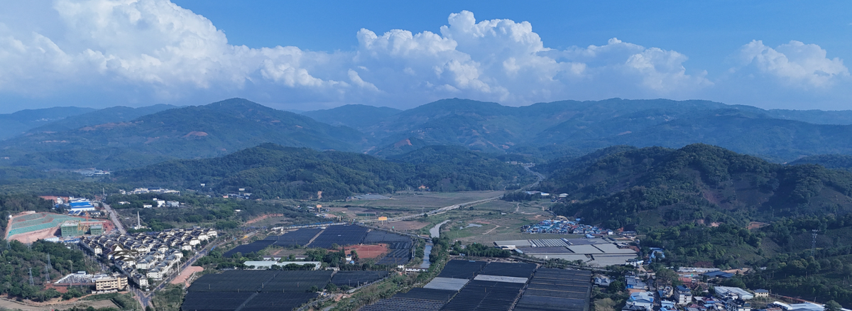 Lao Banzhang: The Mountain Character Behind Exceptional Pu-erh
