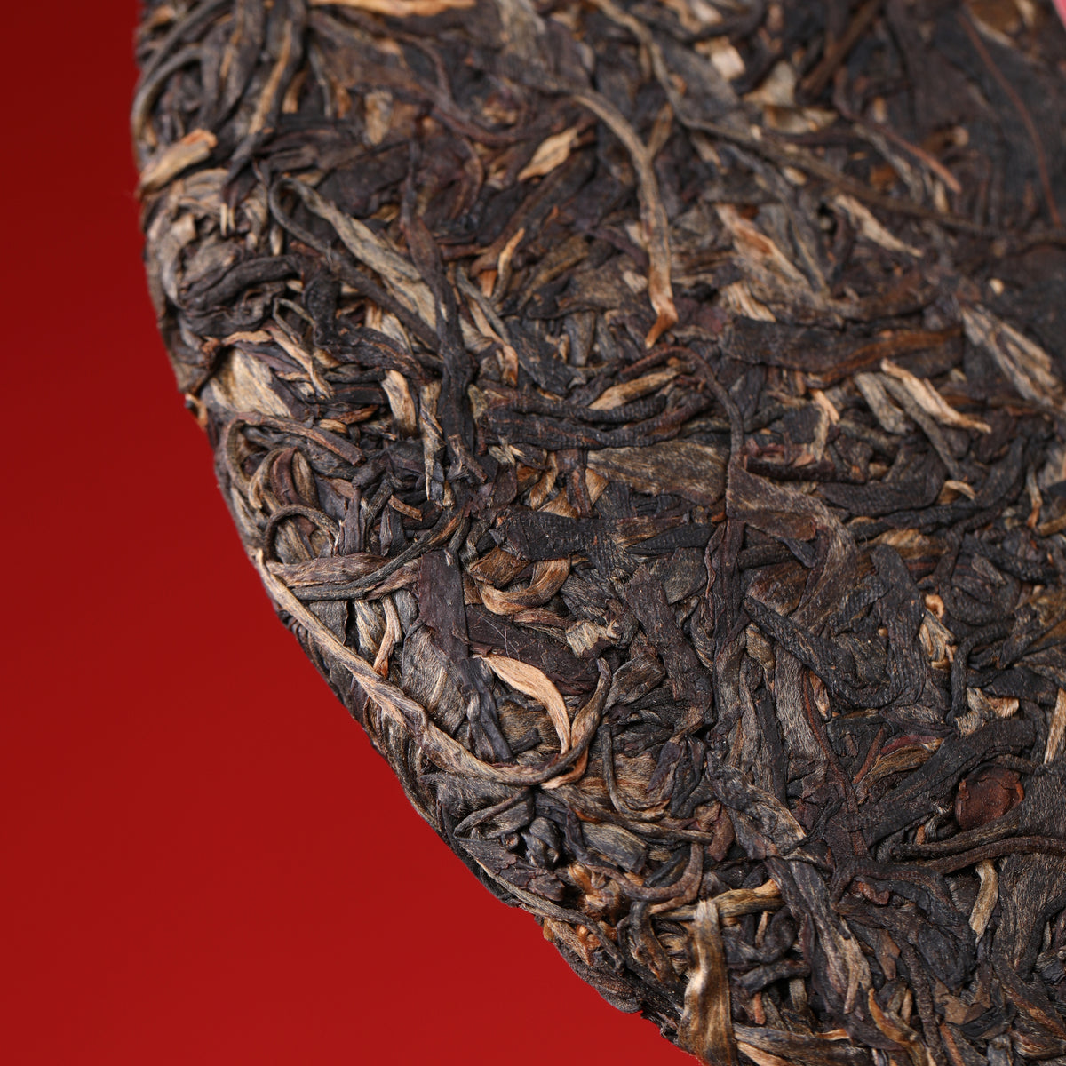 Cangfeng Juqi 藏峰聚氣 | 15-Year · Jingmai Raw Pu-erh